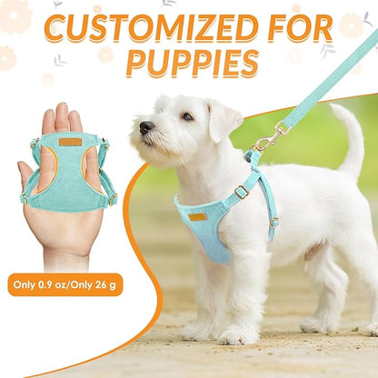 SlowTon Dog Harness Small Sized Dog - Soft XXS Dog Harness and Leash Set No Pull No Chock, Adjustable Lightweight Puppy Harness for XS Small Medium Dogs Cats (Solid Light Blue, XS)