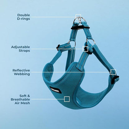 Best Pet Supplies Voyager Adjustable Step-in Flex Breathable Mesh Dog Harness for Small Medium Large Dogs (Turquoise), L