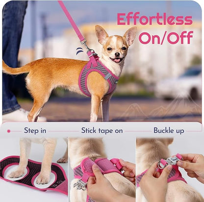 Eagloo Small Dog Harness and Leash Set, Step in Puppy Vest with Breathable Soft Mesh, Walking Reflective Pet Harness for Small Dogs, Rose Red, XS