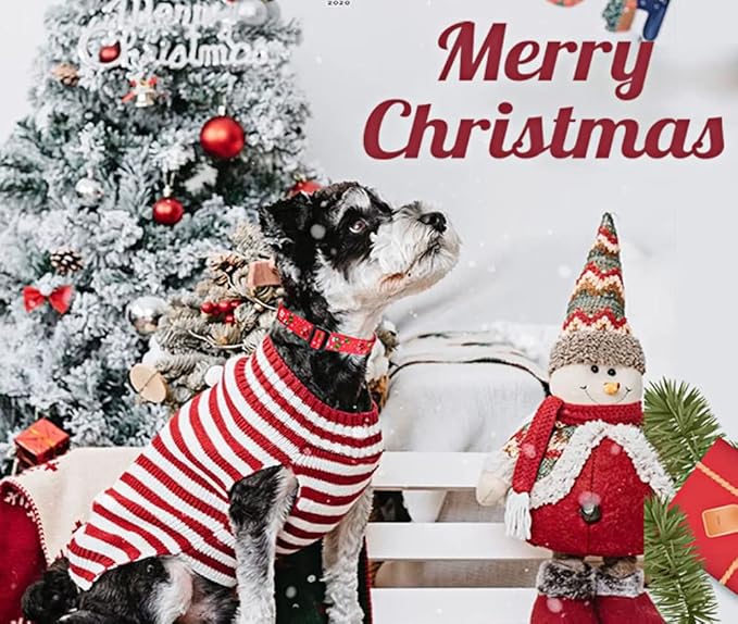 Mihqy Christmas Dog Collar - Premium Adjustable Dog Collar for Small Medium Large Dogs (Christmas,L)