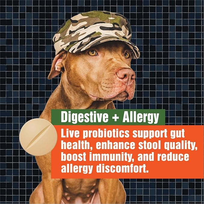 Army Soldier Owned Dog Probiotics for Yeast, Itchy Skin & Itchy Ears, Dog Allergy Relief, Digestive Health, Occasional Diarrhea & Immune Support, 3 Billion CFU, 60 Yummy Chewables