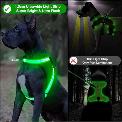 ChalkLit Light Up Dog Harness, No Pull Led Dog Harness Glow-in-The-Dark for Night Walking, USB Rechargeable Lighted Safety Vest for Medium Large Dogs, Adjustable Soft Mesh Fully Illuminated(Green, L)