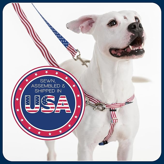 2 Hounds Design Freedom No Pull Dog Harness, Adjustable Harness, Easy Walking & Comfortable Control, Fits Small, Medium & Large Dogs, Solid Colors, Made in USA, 1" MD, Hot Pink