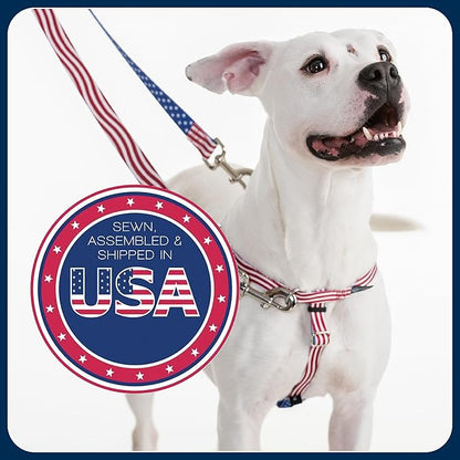 2 Hounds Design Freedom No Pull Dog Harness, Adjustable Harness, Easy Walking & Comfortable Control, Fits Small, Medium & Large Dogs, Solid Colors, Made in USA, 1" LG, Silver