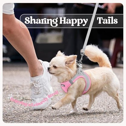 rabbitgoo Dog Harness Small Sized and Leash Set, Step in Soft Light Puppy Vest, Breathable Mesh Pet Harness, Reflective for Safe Easy Walking, Pink & Gray M