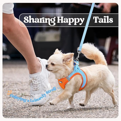 rabbitgoo Dog Harness Small Medium Sized and Leash Set, Step in Soft Light Puppy Vest, Breathable Mesh Pet Harness, Reflective for Safe Easy Walking, Blue & Orange XL