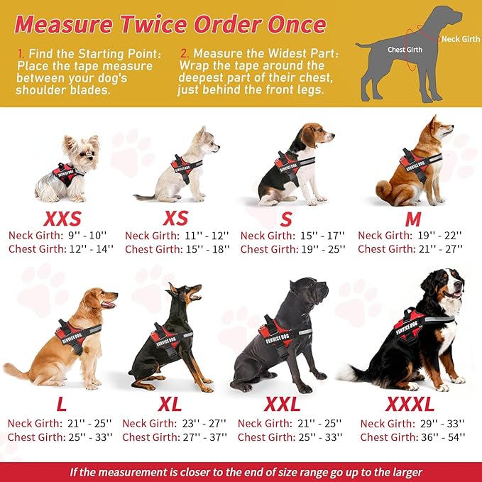 Service Dog Vest, ID Tag + 50 ADA Information Cards, Service Dog Harness w Patch in Sizes XX Small to XXX Large, Ruggedized Metal Tag, Service Animal Information Cards, ESA Accessory Set XXX-Large