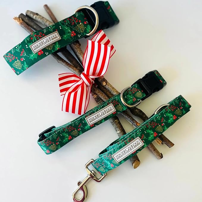 Lucky Love Dog - Easy Click Holly Dog Collar with Leash Set Combo, Durable & Comfortable for Male & Female Dogs, Pet Collar for Large Dogs, Secure Fit - Holly Combo, Large