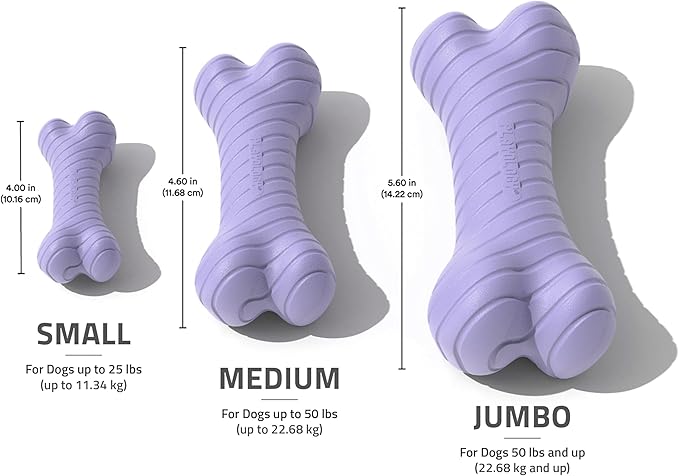 Playology Dog Toys |Dual Layer Bone Durable Chew Toy Bone for Dogs | Small Lamb Scented Toy - Easy to Clean and Made from Non Toxic Materials
