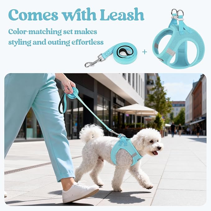 rabbitgoo Dog Harness Small Sized and Leash Set, Step in Soft Light Puppy Vest, Breathable Mesh Pet Harness, Reflective for Safe Easy Walking, Mint Blue M
