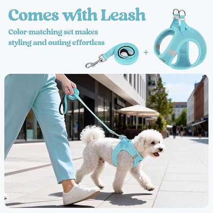 rabbitgoo Dog Harness Small Sized and Leash Set, Step in Soft Light Puppy Vest, Breathable Mesh Pet Harness, Reflective for Safe Easy Walking, Mint Blue S