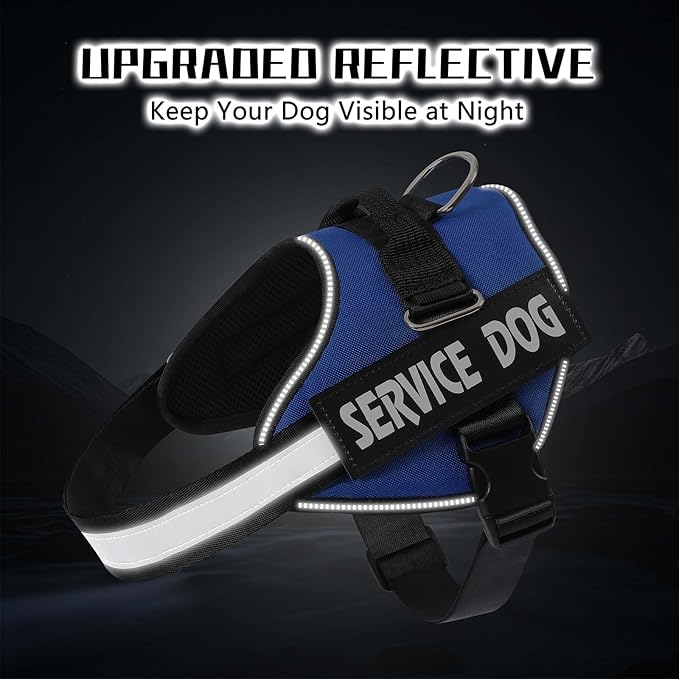 MUMUPET Service Dog Vest Harness, No Pull Reflective Adjustable with Handle, Soft Breathable Padding for Small Dogs, 2 Removable Velcro Patches (Blue, XS)