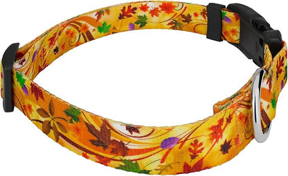 Country Brook Petz - Autumn Wind Everyday Dog Collar and Leash - Awesome Autumn Collection Featuring Designs You'll Fall for (1 Inch, Medium)