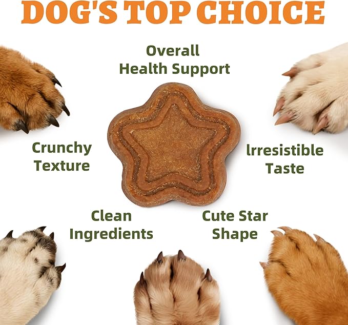 Just Try 40 OZ Pumpkin Dog Treats Biscuits Digestive Support Gut Health Training Treats Healthy Dog Treats