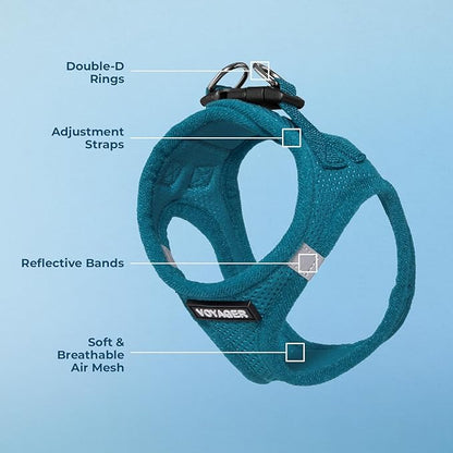 Best Pet Supplies Voyager Step-in Air Harness - All Weather Mesh, Reflective, No Pull Harness for Dogs, Cats - Secure with Hook & Loop Fastener, Buckle, Double D-Rings - Turquoise, XXXS