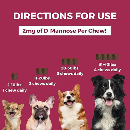Nootie Progility Mini Urinary Support Supplement for Dogs, Bladder Support and Urinary Tract Support for Dogs with Cranberry and D-Mannose, 60 Soft Chews per Container