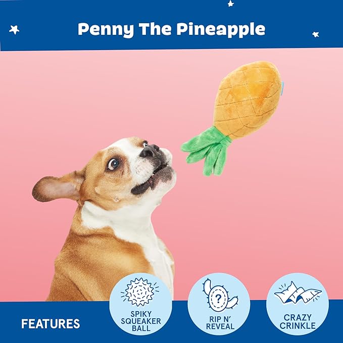 Barkbox Penny The Pineapple 2-in-1 Interactive Plush Dog Toy - Squeaky Dog Chew Toy with Crinkle Layers and Ball Inside - for Large Dogs and Puppies