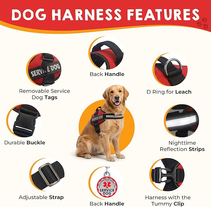 Service Dog Vest, ID Tag and ADA Info Cards - Harness in X Small to XX Large, Durable Metal Tag, 2-Sided Service Animal Cards. ESA Accessory Set