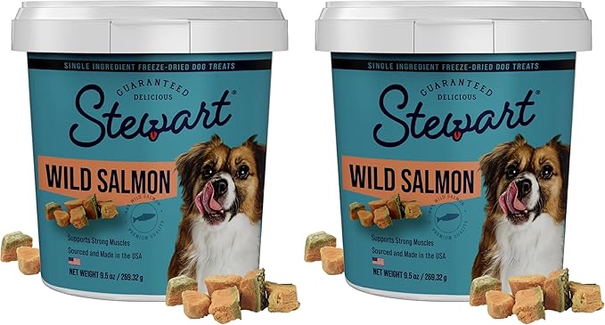 Stewart 100% Wild Salmon Dog Treats, 9.5 oz Tub, ~190 Pieces, Freeze Dried Raw, Ingredient, 65% Protein Training Treats or Meal Topper, Grain Free, Gluten Free (Pack of 2)