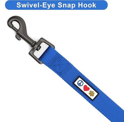 Pawtitas Personalized 6 ft Blue Dog Leash XS/S Custom Name and Phone Embroidery Strong Nylon Leash for Small Breeds