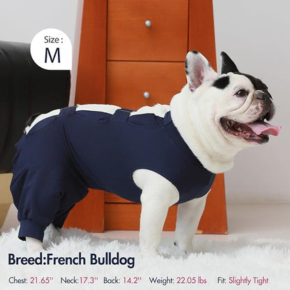 IECOii Dog Surgery Recovery Suit for Female Or Male Dogs,Post Surgery Dog Onesies for Spay Neuter,Small Dog Surgical Suit for Abdominal Wound and Rear Leg,Dogs E-Collar & Cone Alternative,Small-Blue