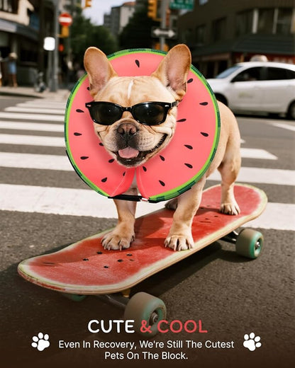 MIDOG Dog Cone Collar for Large Medium Dogs, Soft Inflatable Dog Cone Alternative After Surgery, Adjustable Protective Recovery Cone - Alternative E Collar Does Not Block Vision (Watermelon,M)