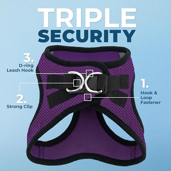 Best Pet Supplies Voyager Step-in Air All Weather Mesh Harness and Reflective Dog 5ft Leash Combo with Neoprene Handle, for Small, Medium and Large Breed Puppies - Set (Purple/Black Trim), X-Small