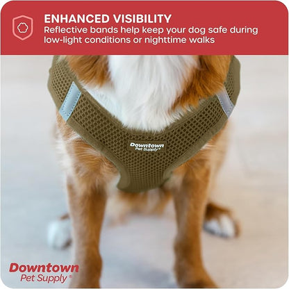 Downtown Pet Supply Step in Dog Harness for Teacup Dogs & Cats No Pull, XX-Small, Hunter Green - Adjustable Harness with Padded Mesh Fabric and Reflective Trim - Buckle Strap Harness for Dogs