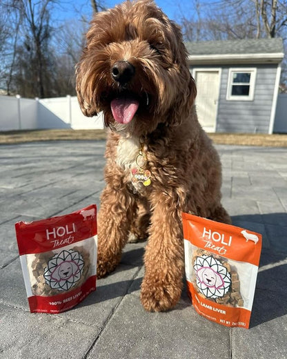 HOLI Freeze Dried Beef Liver Dog Treats – Single Ingredient Beef Dog Treats – Pasture Raised Liver Dog Treats Made in USA – Healthy Liver Treats for Dogs & Diabetic Dog Treat-Friendly - 8oz
