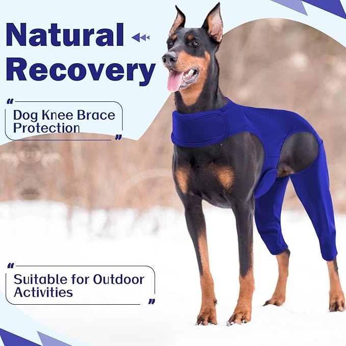 ROZKITCH Dog Body Suit Open Male Rear for Right Left Leg, Pet Prevent Licking Wound Elbow Protector, Dog Recovery Suit Cone Collar Alternative for Sprain ACL CCL Arthritis Joint Care Blue 2XL