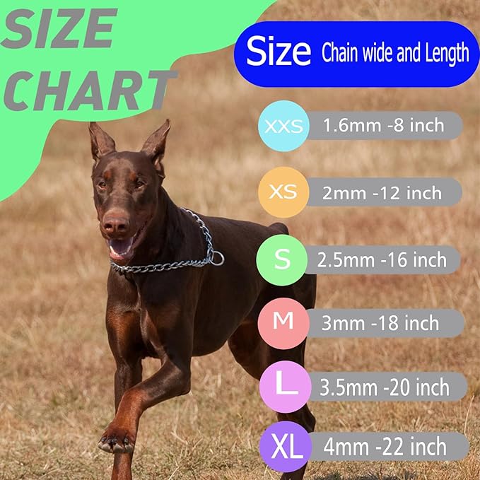 Dog Choke Collar Slip P Chain,Heavy Duty Metal Training Choker Martingale Collars, Adjustable Weather Proof Alloy Steel Chains for Small Medium Large Dogs(Silver,XL)