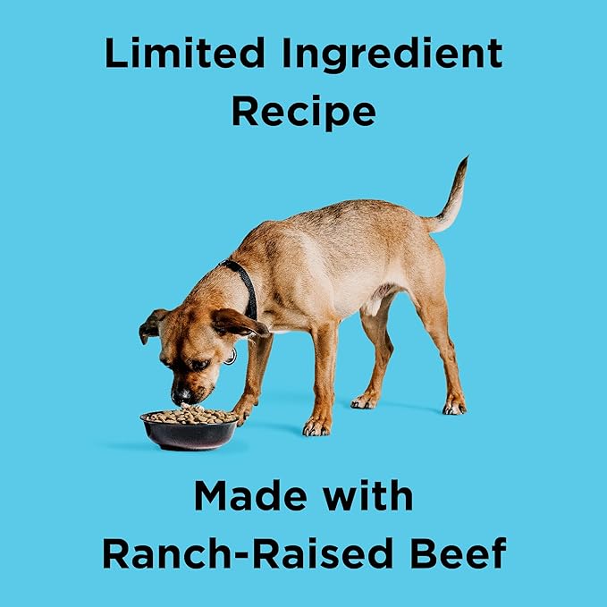 BIXBI Liberty Grain-Free Dry Dog Food, Beef Recipe – Fresh Meat, High Protein, No Meat Meals – USA Made, 4 lbs