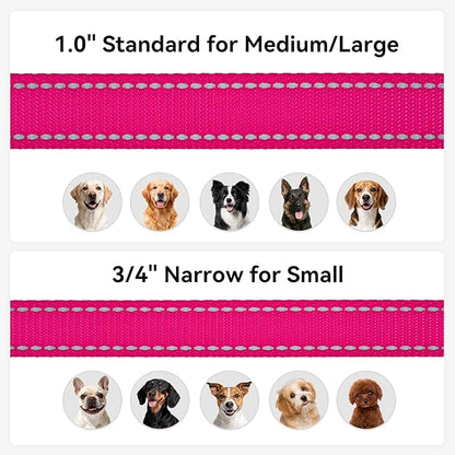 Joytale Dog Leash, 6 FT Double-Sided Reflective, Padded Handle Nylon Heavy Duty Leashes for Small Dogs Walking, Hotpink