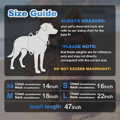 Dog Harness Medium Sized Dogs, Puppy Harness and Leash Set for Training, Running, Walking, Suitable for Small and Medium Dog Vest, Blue, XS