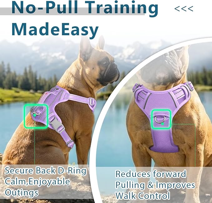 BARKBAY Dog Harness No Pull with ID Tag Pocket - Heavy Duty, Reflective, Easy Control for Large Dogs(Violet Purple,L)