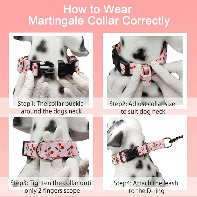 Martingale Collar for Small Dogs with Buckle No Pull Cute Girl Pink Dog Collars (Cherry, Small)
