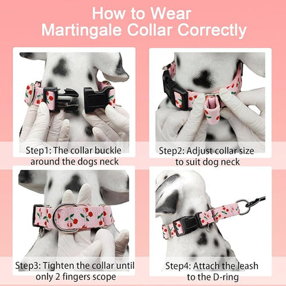 Martingale Collar for Small Dogs with Buckle No Pull Cute Girl Pink Dog Collars (Cherry, Small)