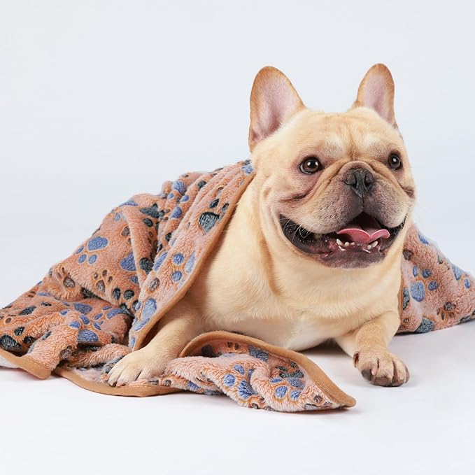 1 Pack 3 Blankets Super Soft Fluffy Premium Fleece Pet Blanket Flannel Throw for Dog Puppy Cat Paw Brown Large(41x31 inch)