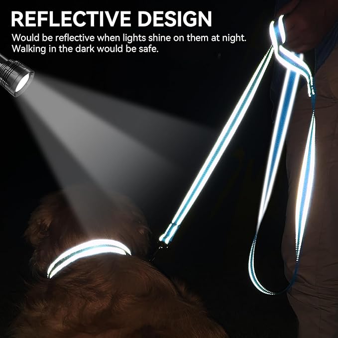 Joytale Dog Leash, 4 FT Double-Sided Reflective, Padded Handle Nylon Heavy Duty Leashes for Small Dogs Walking, SkyBlue