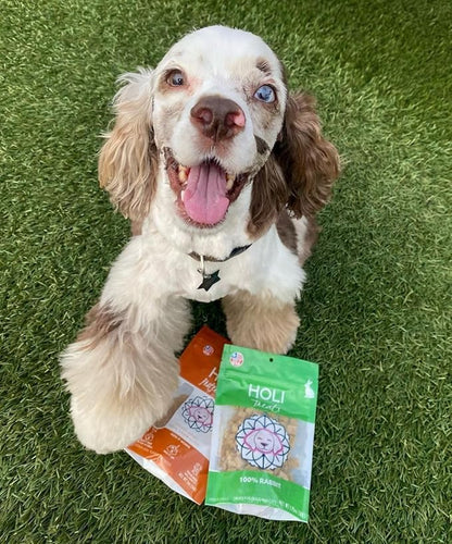 HOLI Lamb Liver Dog Food Topper – Freeze Dried Lamb Liver Dog Topper for Dry Food – Single Ingredient, Human-Grade Meal Topper for Picky Dogs – Grain Free & All Natural - 4oz