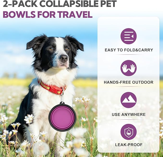 Collapsible Dog Bowl Large 2 Pack, Dog Water Bowls for Travels, Portable Foldable Pet Bowls Feeding Watering Dish for Parking Walking Camping with 2 Carabiners Clip (34oz, Large, Grey+Purple)