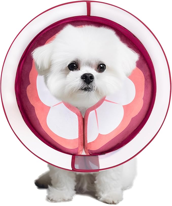 Inflatable Dog Cone Collar for Large Medium Small Dogs, Soft Dog Donut Collar Adjustable Recovery Cone for Pets After Surgery, Extra Enhanced Anti-Licking Guard Shield (Mangosteen, Small)