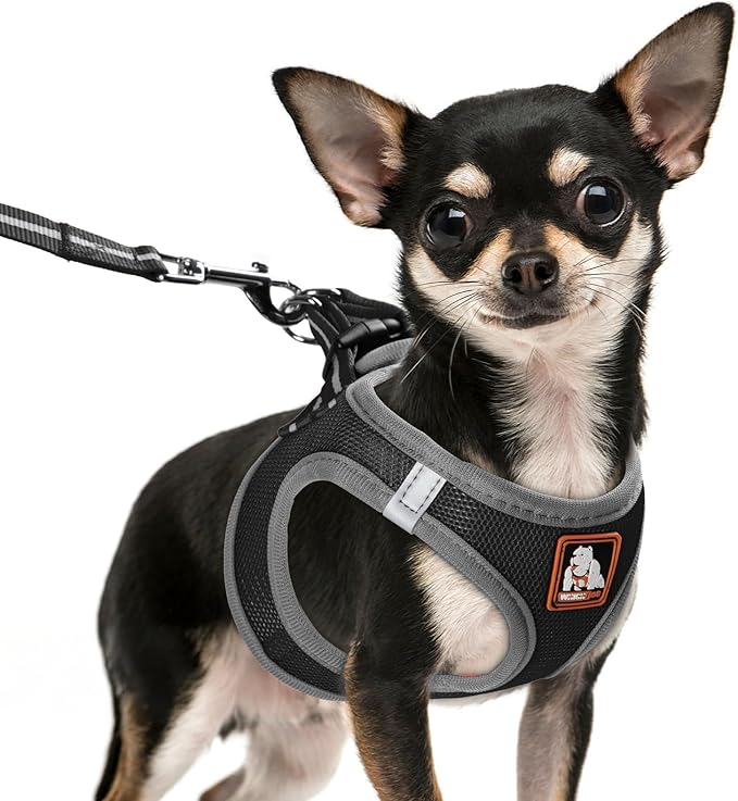 Dog Harness Medium Sized Dogs, Puppy Harness and Leash Set for Training, Running, Walking, Suitable for Small and Medium Dog Vest, Black, XS