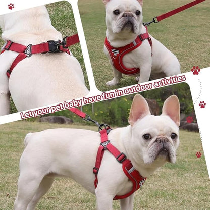 Dog Harness and Leash Set, Adjustable Triangle, Reflective Adjustable Puppy Vest, No Pull Soft Mesh Harness for Small, Medium Dogs, Cats (Red, L)