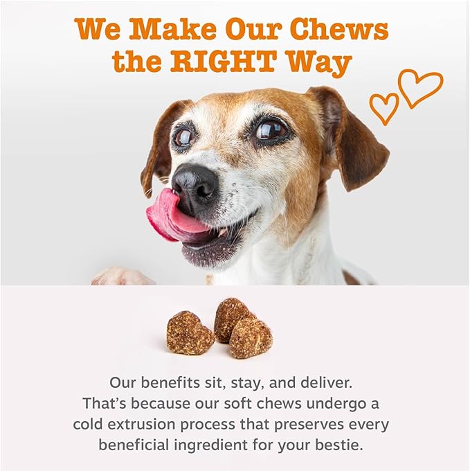 Zesty Paws Vet Strength Allergy Immune Bites - Dog Allergy Chews, Dog Probiotics for Itchy Skin and Ears, Smoked Cheese, 90ct
