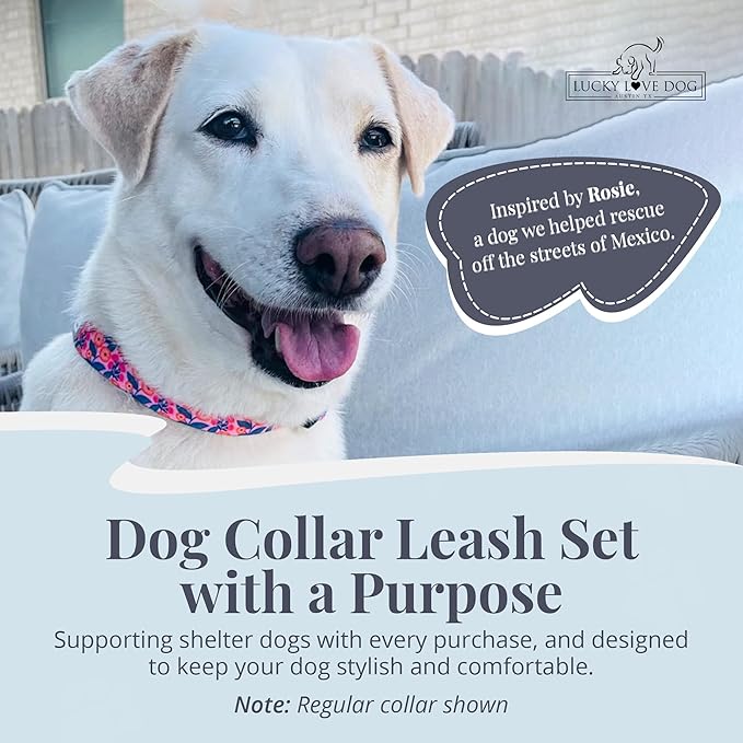 Lucky Love Dog Martingale Dog Collar & Leash - Adjustable, No-Slip, Durable, Comfortable, Soft Webbing, & Stylish Patterned Collar & Leash Set for Male and Female Dogs - Rosie Combo, Medium