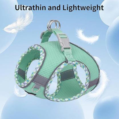 AIITLE Tiny Dog Harness - Lightweight Mesh Step-in Vest for Puppy, Reflective & Escape-Proof Design with High-Stick Magic Tape - Indoor/Outdoor Use for Chihuahua, Maltese, Shih Tzu(Turquoise, XXXS)