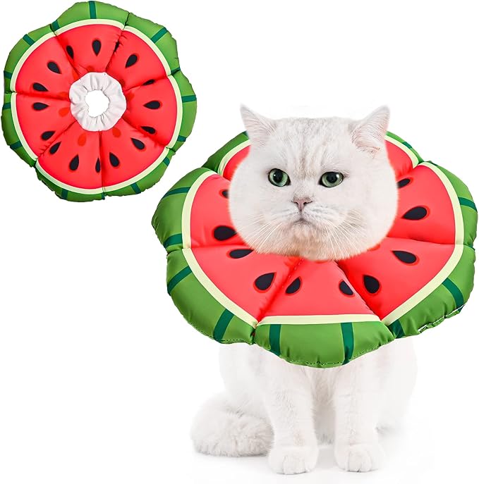 Avont Cat Cone Collar Soft, Adjustable Recovery E Collar Alternative for Cats Kittens Puppies, Elizabethan Neck Cone of Shame to Prevent Licking Biting After Surgery Protect Wounds -Melon(L)