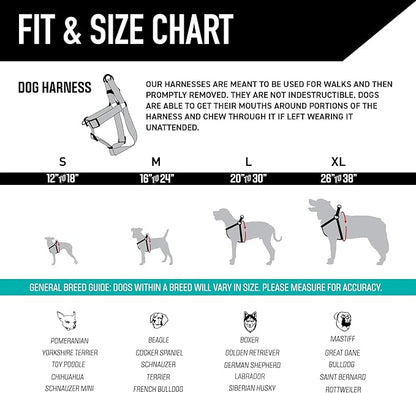 Wolfgang Heavy Duty Adjustable Dog Harness, Pull-Tested to Over 800 lbs for Walking & Training, Overland Print, Small