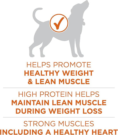 Purina ONE Plus Healthy Weight High-Protein Dog Food Dry Formula - 16.5 lb. Bag